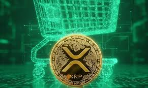 بهترین روش خرید و نگهداری ریپل (XRP) | راهنمای سرمایه‌گذاری |روز نو