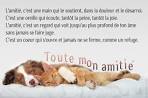 Amitie chat gratuit