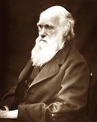 Immagine in miniatura