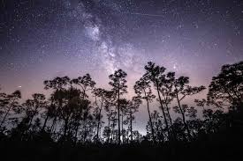 Eta Aquariid Meteor Shower: Catching Halley's Comet Debris in 2026