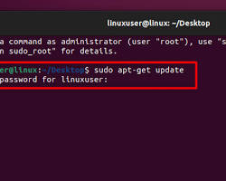 Image of terminal showing sudo apt update command