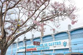 Paysandu entra com pedido de recuperação judicial; saiba detalhes
