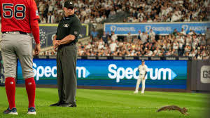 Squirrel runs onto mound, delays Red Sox-Yanks