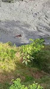Volcán de lodo activa emergencia en San Pedro de Urabá
