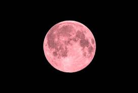 Lua vai ficar rosa hoje? Entenda a Lua de Morango desta segunda, visível no Brasil