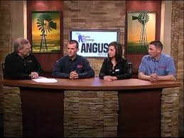 Image result for "ringworm in cattle"