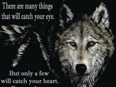 Wolf Quotes on Pinterest | Lone Wolf Quotes, Wolf Pack Quotes and ... via Relatably.com