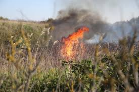 Grote brand in duingebied tussen Scheveningen en Kijkduin: rook van verre te zien