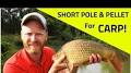 Video for slot online gacor pandora188url?q=https://m.facebook.com/robwoottonfishing/videos/perfect-pellets-soaking-micro-pellets/722272811507578/