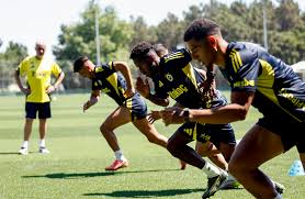Fenerbahçe Spor Kulübü - News update
