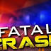 Ohio man standing in Michigan roadway struck by car, killed