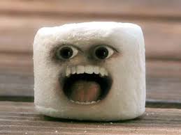 Image result for marshmallow