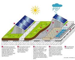 Image of Green roof on MRF building