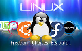 Resultado de imagen para linux