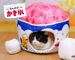 stylish cushionshaped cat bedの画像