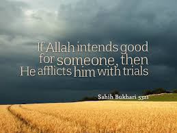 Image result for allah is the best and true companion