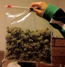 Image result for weed in a bag