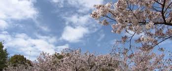 News source: Yahoo!ニュース