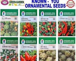 تصویر Ornamental plant seeds