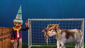 FC Augsburg - News update