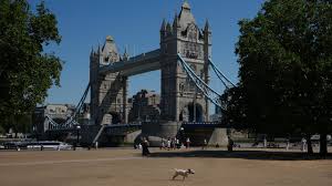 Scorched, parched western Europe suffers through another heat wave as Britain and France face record temperatures, drought, and wildfires