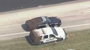 Résultat de recherche d'images pour "covered in bees"