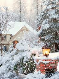 images?q=tbn:ANd9GcTBlXBvkW0_RAPkf8g_pnH