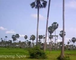 Image of Sdach Srok Hot Springs in Cambodia