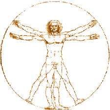 Resultado de imagen para cuerpo humano