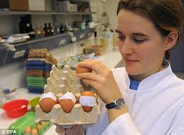 Infection: Laboratory worker Ulrike Behringer tests eggs for dioxin contamination in Oldenburg, Germany - article-1346120-0CADE809000005DC-459_468x343