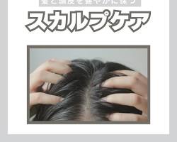 保湿効果のあるヘアオイルの画像