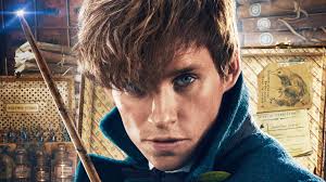 Resultado de imagen de newt scamander