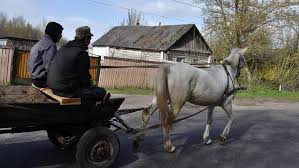 Tchernobyl, quarante ans après la catastrophe: dans la zone interdite, certains doutent du danger