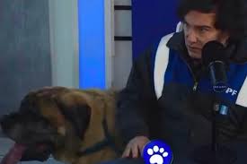 Milei y Conan: El Presidente Sorprende en Streaming Solidario - Imagen principal del artículo