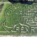 Rex Ryan's likeness included inBuffalocorn maze