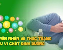 Hình ảnh về Mệt mỏi là dấu hiệu thiếu vitamin và khoáng chất