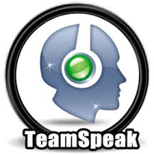 Image result for TeamSpeak Server 3.0.11.4 (64-bit)