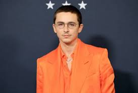 Como Timothée Chalamet se destaca diante de Wagner Moura