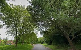 Body of 19-year-old man found in car in broad daylight, police confirm