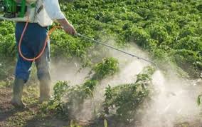 Résultat de recherche d'images pour "intoxication pesticide"