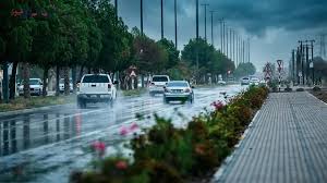تواصل نيوز