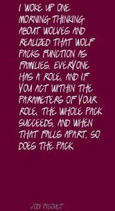 Jodi Picoult Quotes on Pinterest | My Sisters Keeper, Quote and I ... via Relatably.com