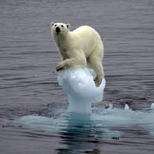 Resultado de imagen para calentamiento global