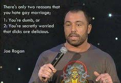 Joe Rogan on Pinterest | Bill Hicks, Eric Thomas Quotes and Taoism ... via Relatably.com
