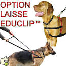 Collier anti-traction pour chien - prix avantageux chez zooplus