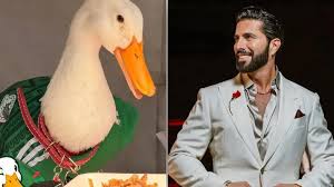 Pato