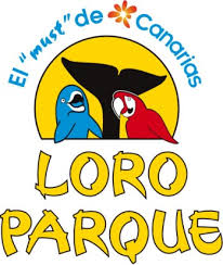 Resultado de imagen de imagenes de loro parque