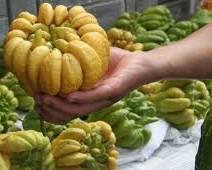 Hình ảnh về Quả Phật thủ (trái cây)