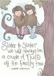 big sister birthday quotes funny - Bing Images | quotes and ... via Relatably.com