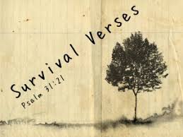 Survival Verses | Harvest Bible Chapel GlasgowHarvest Bible Chapel ... via Relatably.com